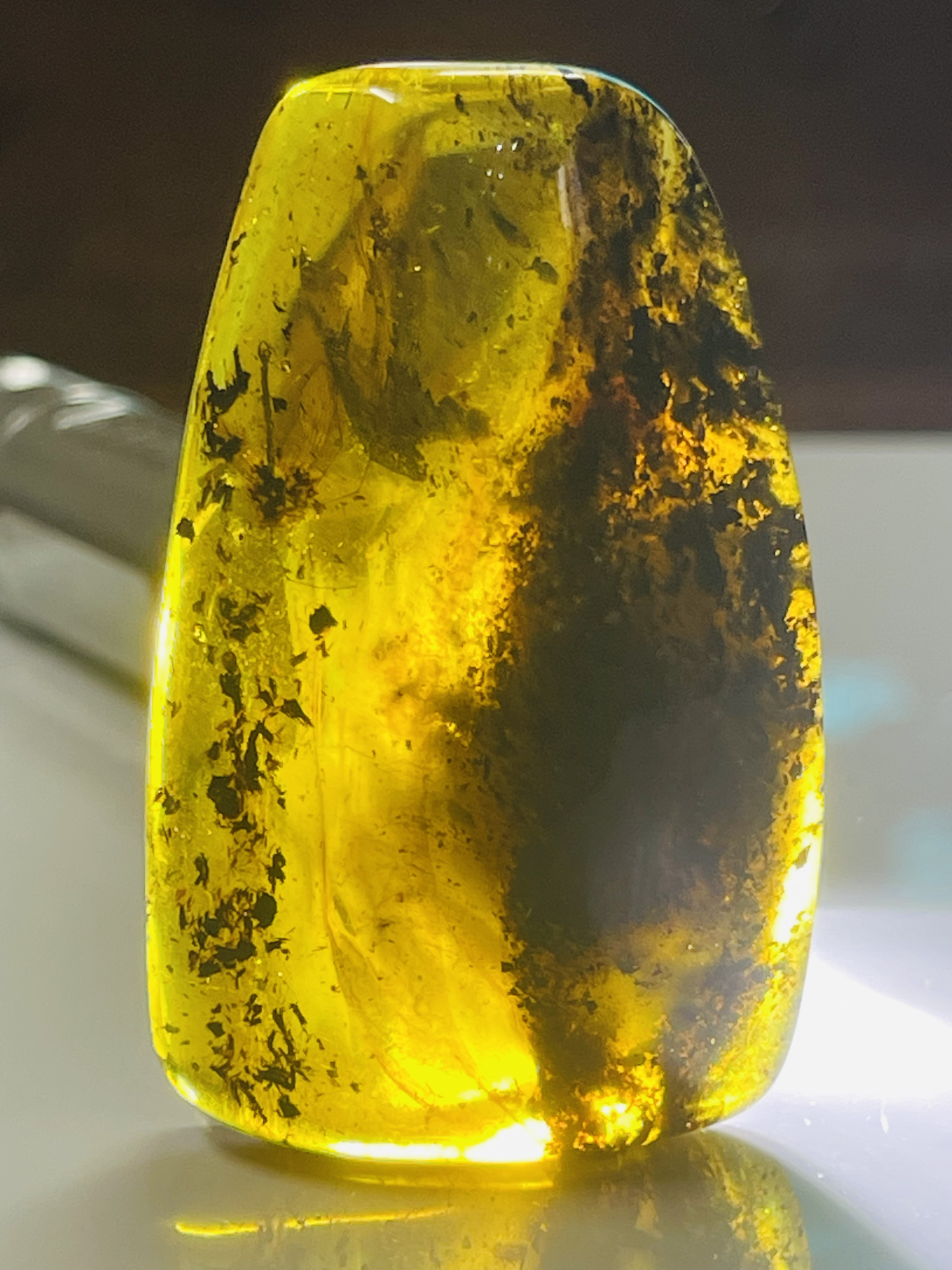 Đá Hổ Phách nguyên khối ngậm côn trùng và tầm tích tuyệt đẹp 291225