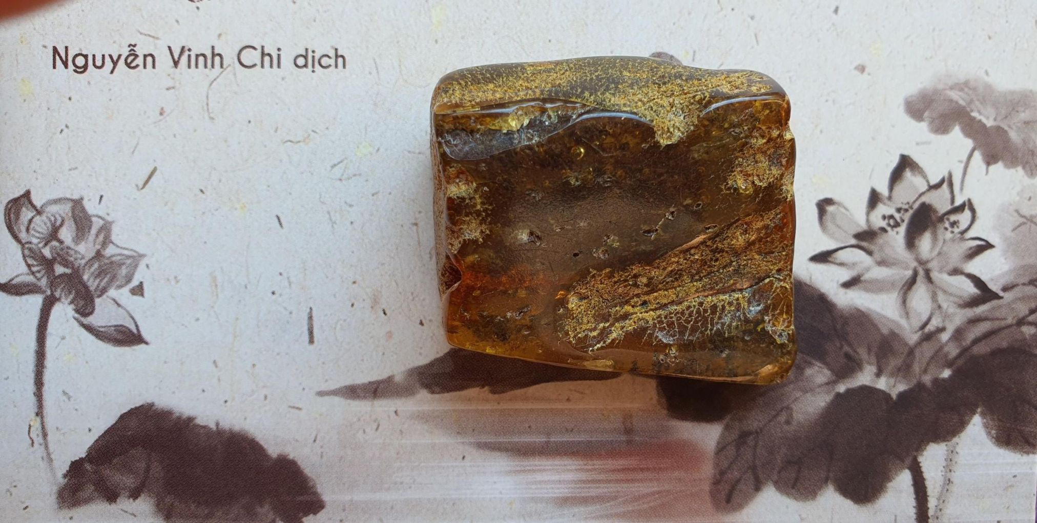 Mặt hổ phách thô Nga Baltic MHPT130120-24 13,4g 37x31x17