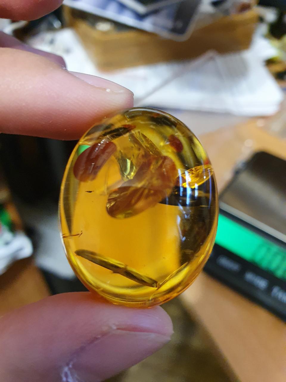 Amber Baltic - Mặt hổ phách Nga Baltic đẹp long lanh