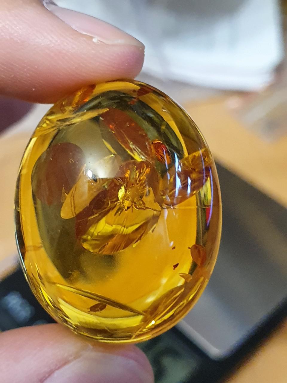 Amber Baltic - Mặt hổ phách Nga Baltic đẹp long lanh