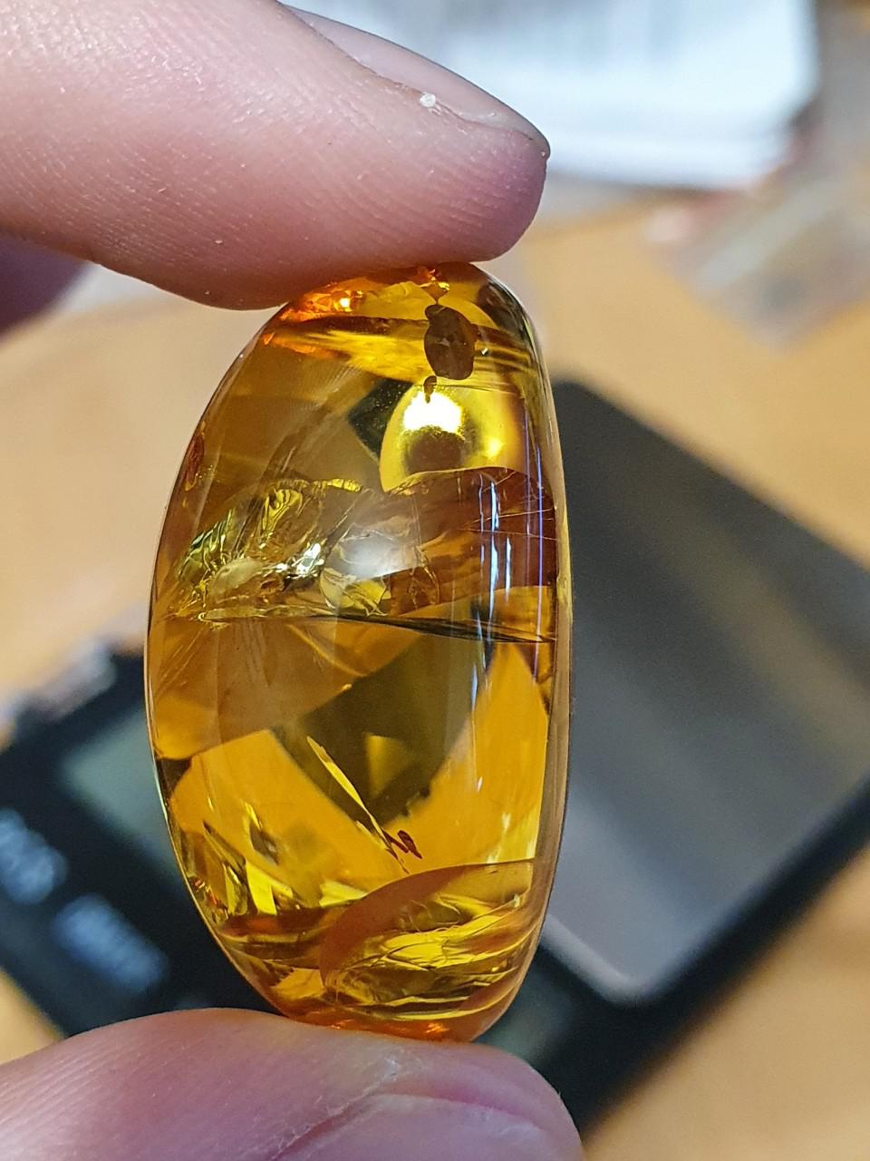 Amber Baltic - Mặt hổ phách Nga Baltic đẹp long lanh