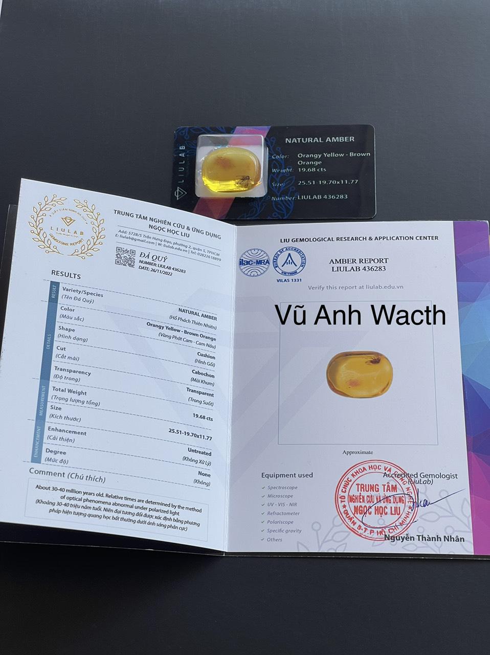 Hổ phách với côn trùng cổ đại to khổng lồ, tự nhiên 100% 12072122