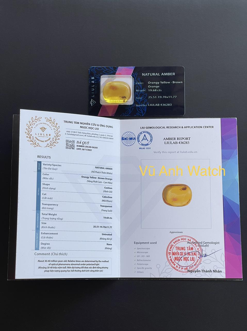Hổ phách với côn trùng cổ đại to khổng lồ, tự nhiên 100% 12072122