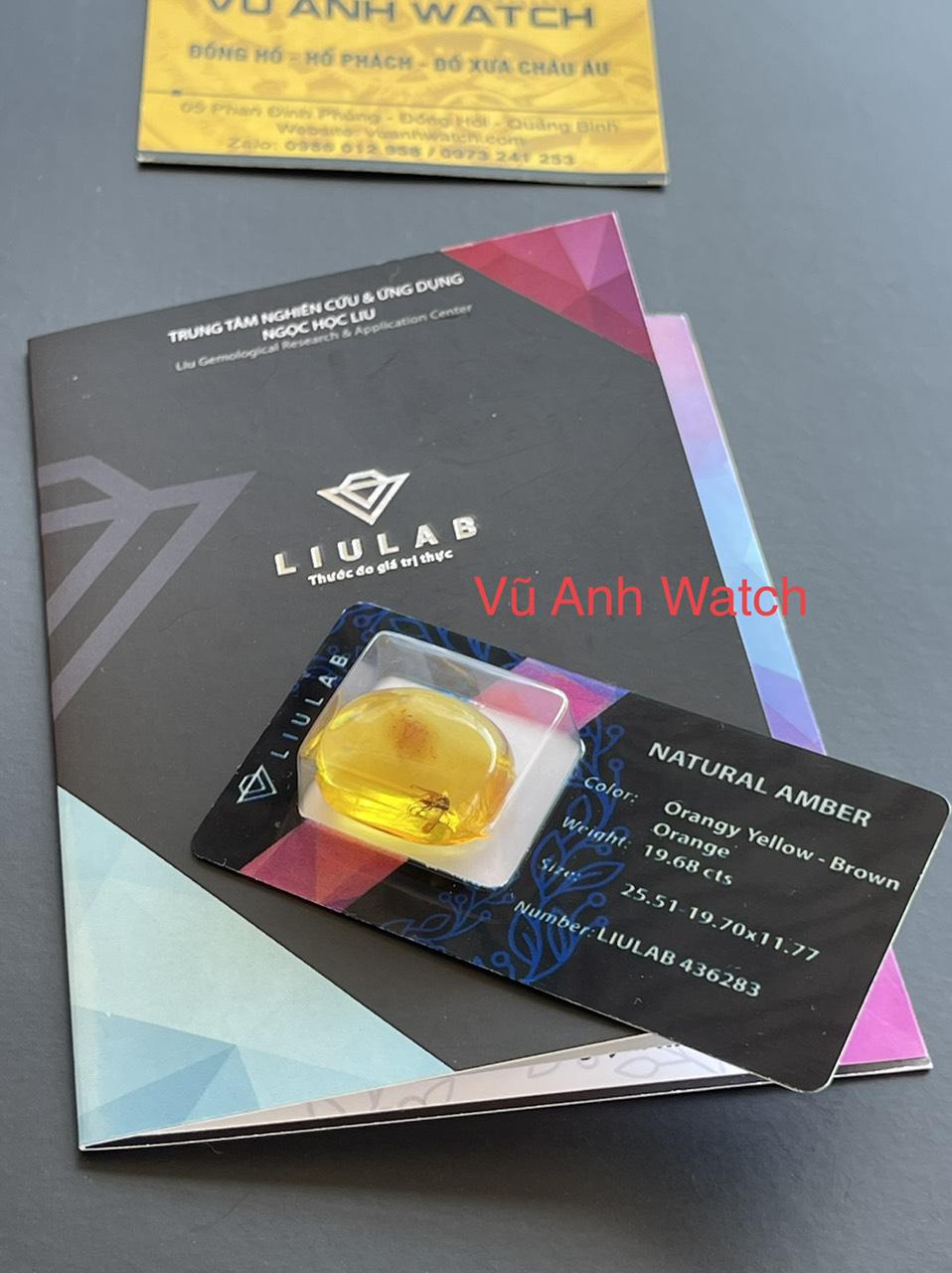 Hổ phách với côn trùng cổ đại to khổng lồ, tự nhiên 100% 12072122