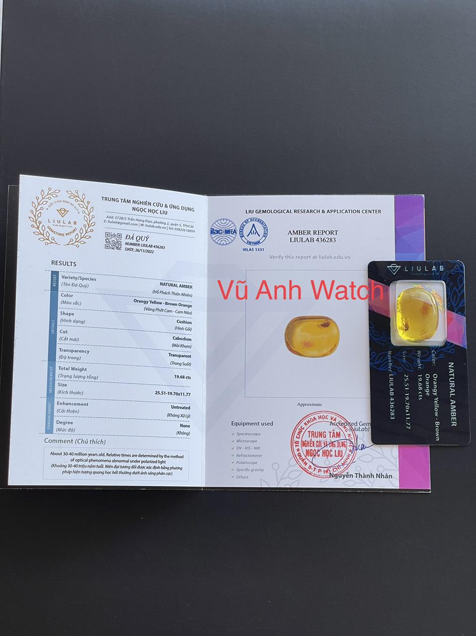 Hổ phách với côn trùng cổ đại to khổng lồ, tự nhiên 100% 12072122