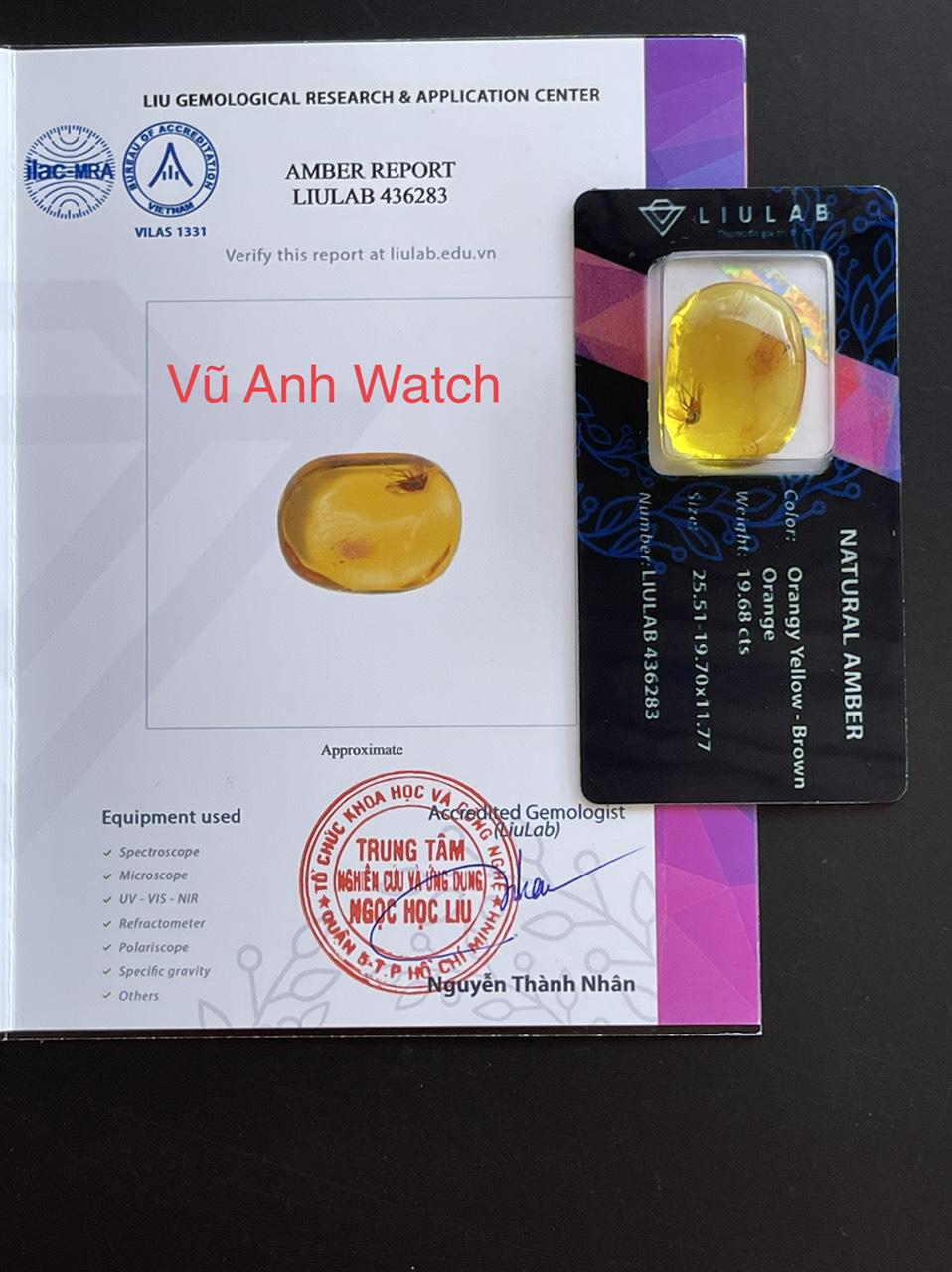 Hổ phách với côn trùng cổ đại to khổng lồ, tự nhiên 100% 12072122