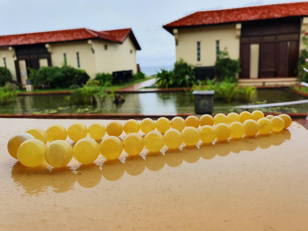 Vòng Hổ phách đeo cổ vàng bơ tự nhiên 100%