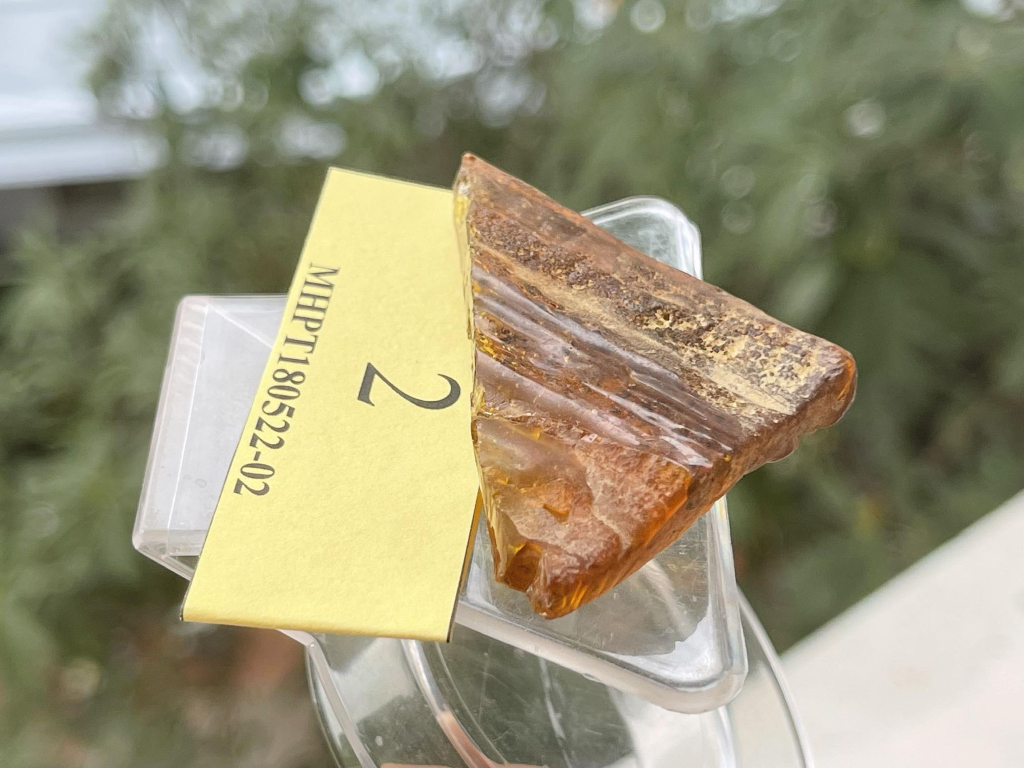 Mặt Hổ phách thô MHPT180522-02