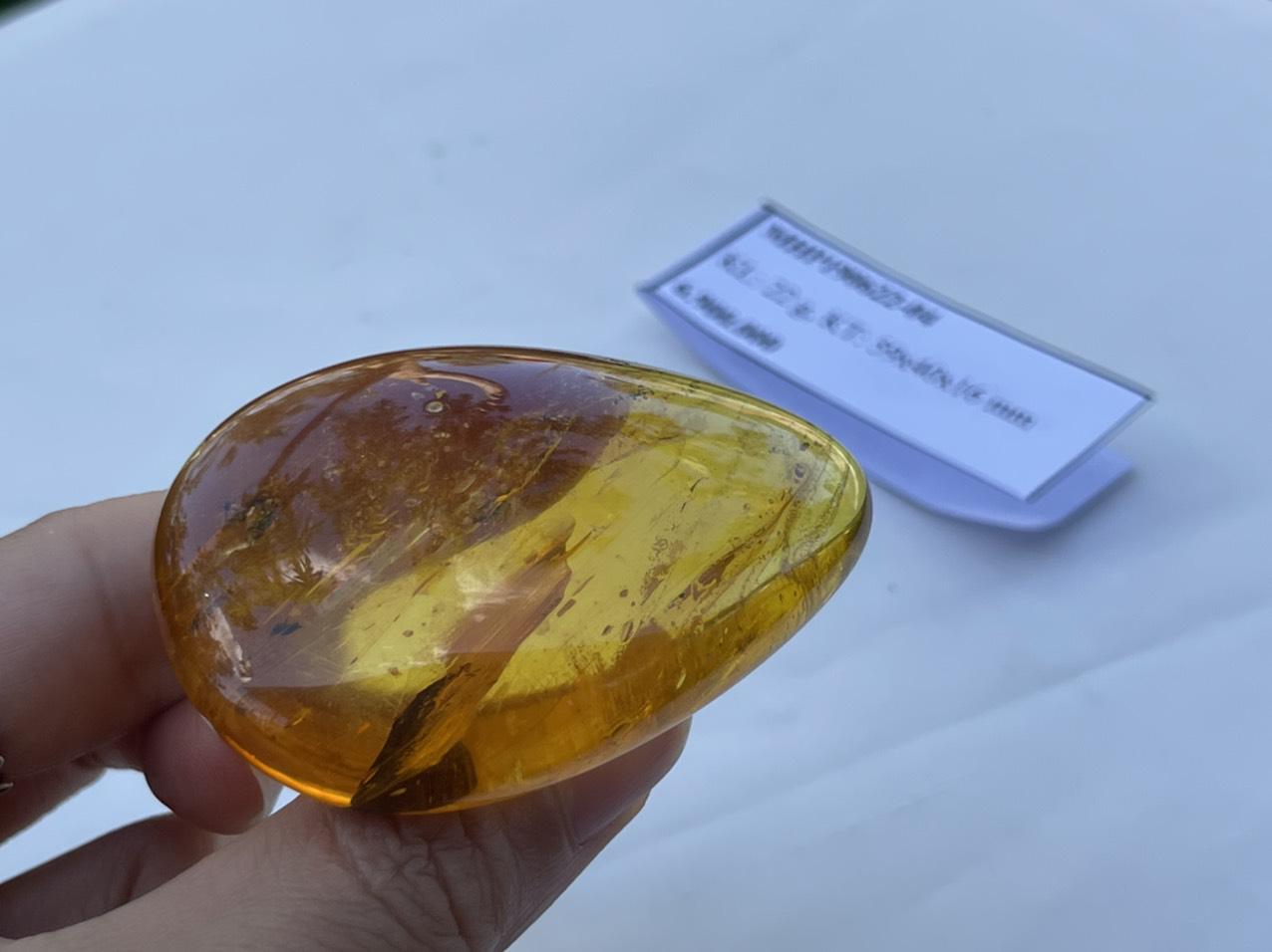 Hổ phách có côn trùng - mặt hổ phách MHP190622-04