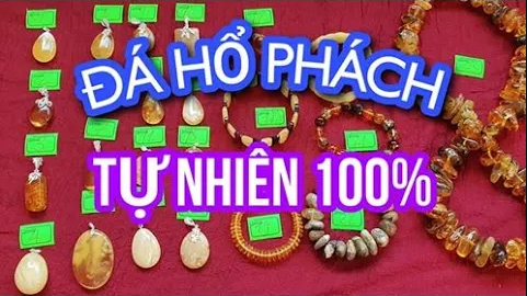 ĐÁ HỔ PHÁCH TỰ NHIÊN 100% TUYỂN CHỌN | HỔ PHÁCH NGA | HỔ PHÁCH BALTIC