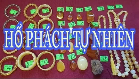 Lô đá Hổ phách tự nhiên Nga Baltic cực đẹp giá tốt