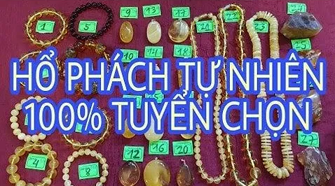 Hổ phách tự nhiên Nga Baltic: vòng tay, vòng cổ, mặt đá hổ phách