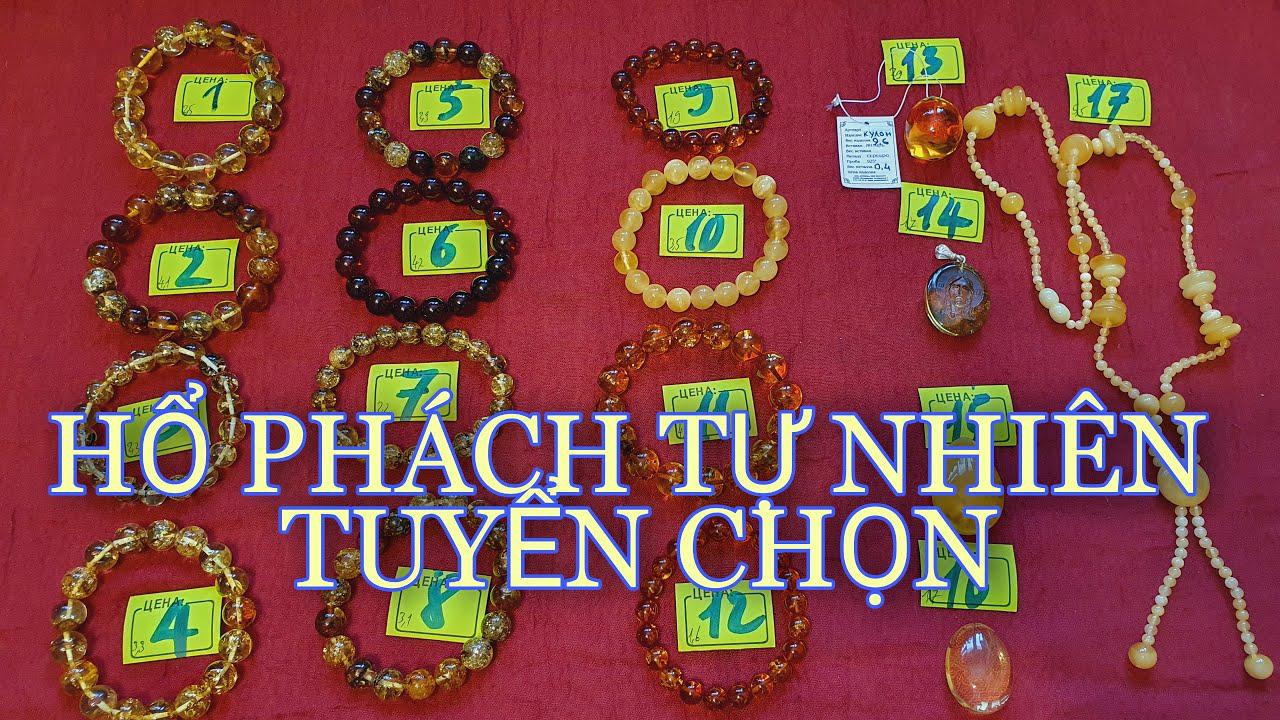 Hổ Phách Tự nhiên tuyển chọn | Hổ phách Nga Baltic