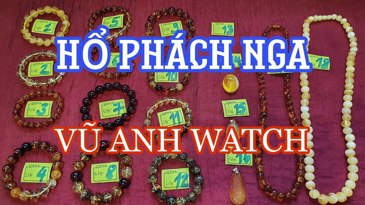 Hổ phách Nga đẹp xuất sắc | Hổ phách ngậm côn trùng 40 triệu năm