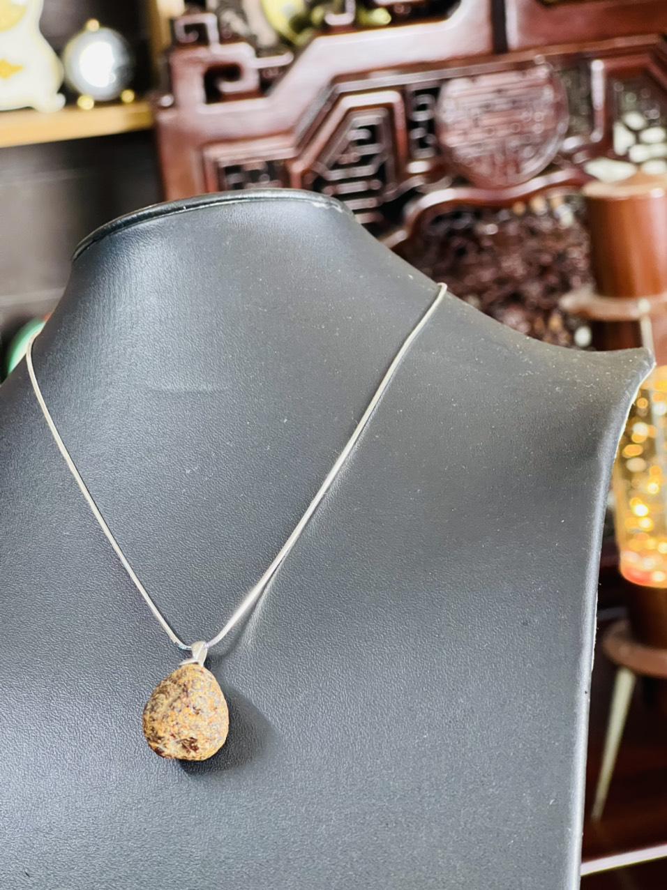Giọt hổ Phách Amber drops huyết dụ 301222 - 06