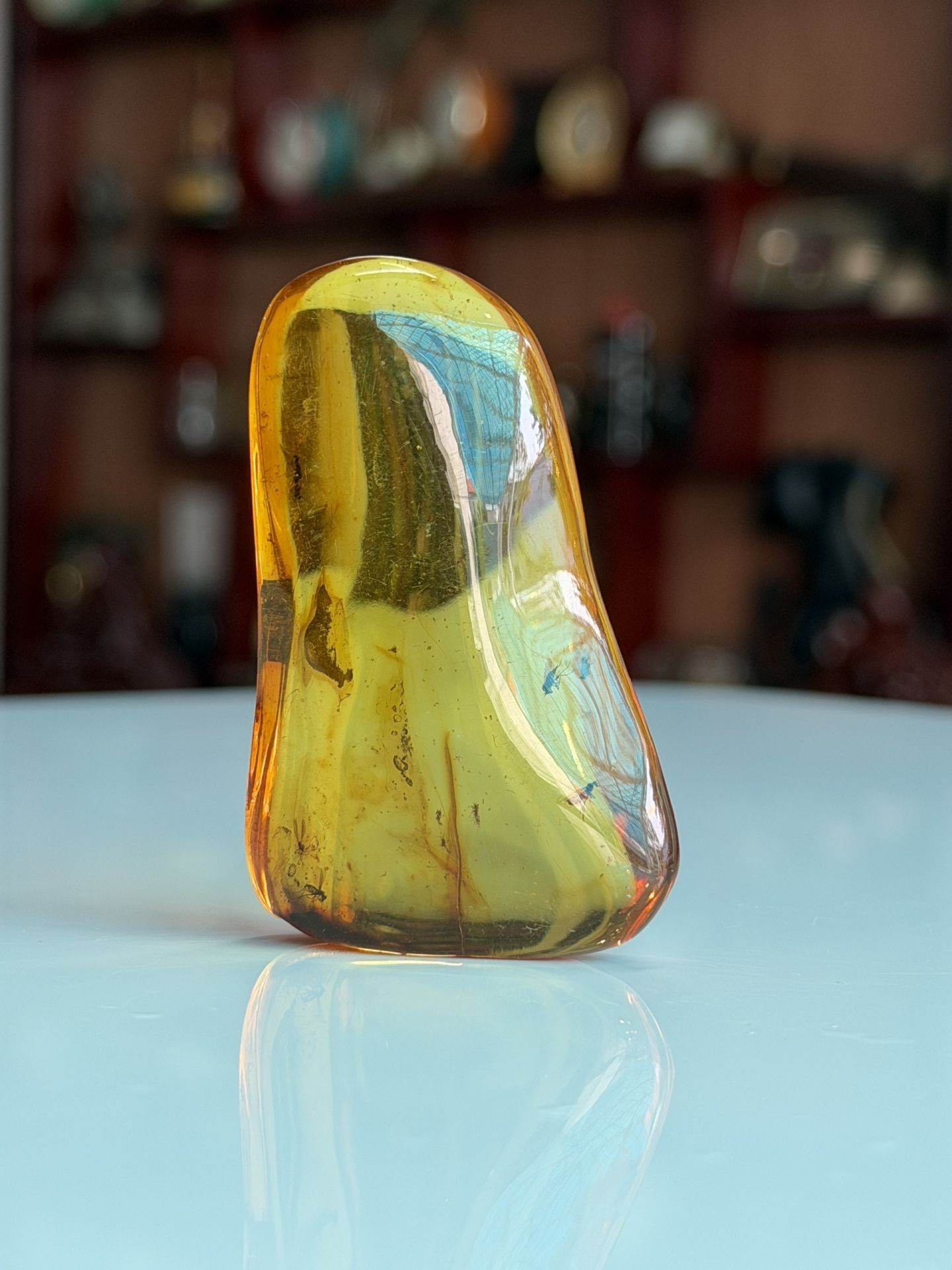 Viên Đá Hổ Phách Baltic Vàng Mật Ong Nguyên Khối Ngậm Côn Trùng Kích Thước Lớn: Tuyệt Tác Trầm Tích Triệu Năm MHP030426-01