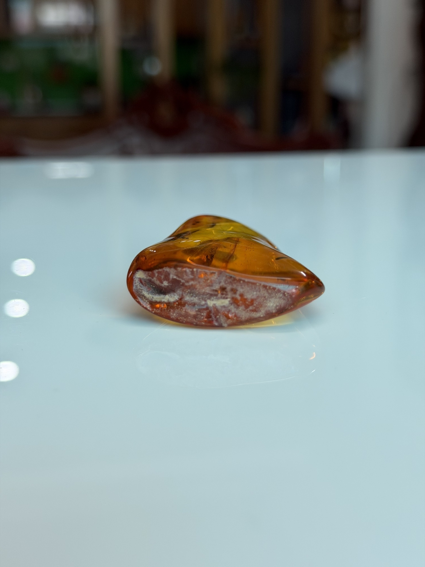 Viên Đá Hổ Phách Baltic Vàng Mật Ong Nguyên Khối Ngậm Côn Trùng Kích Thước Lớn: Tuyệt Tác Trầm Tích Triệu Năm MHP030426-01