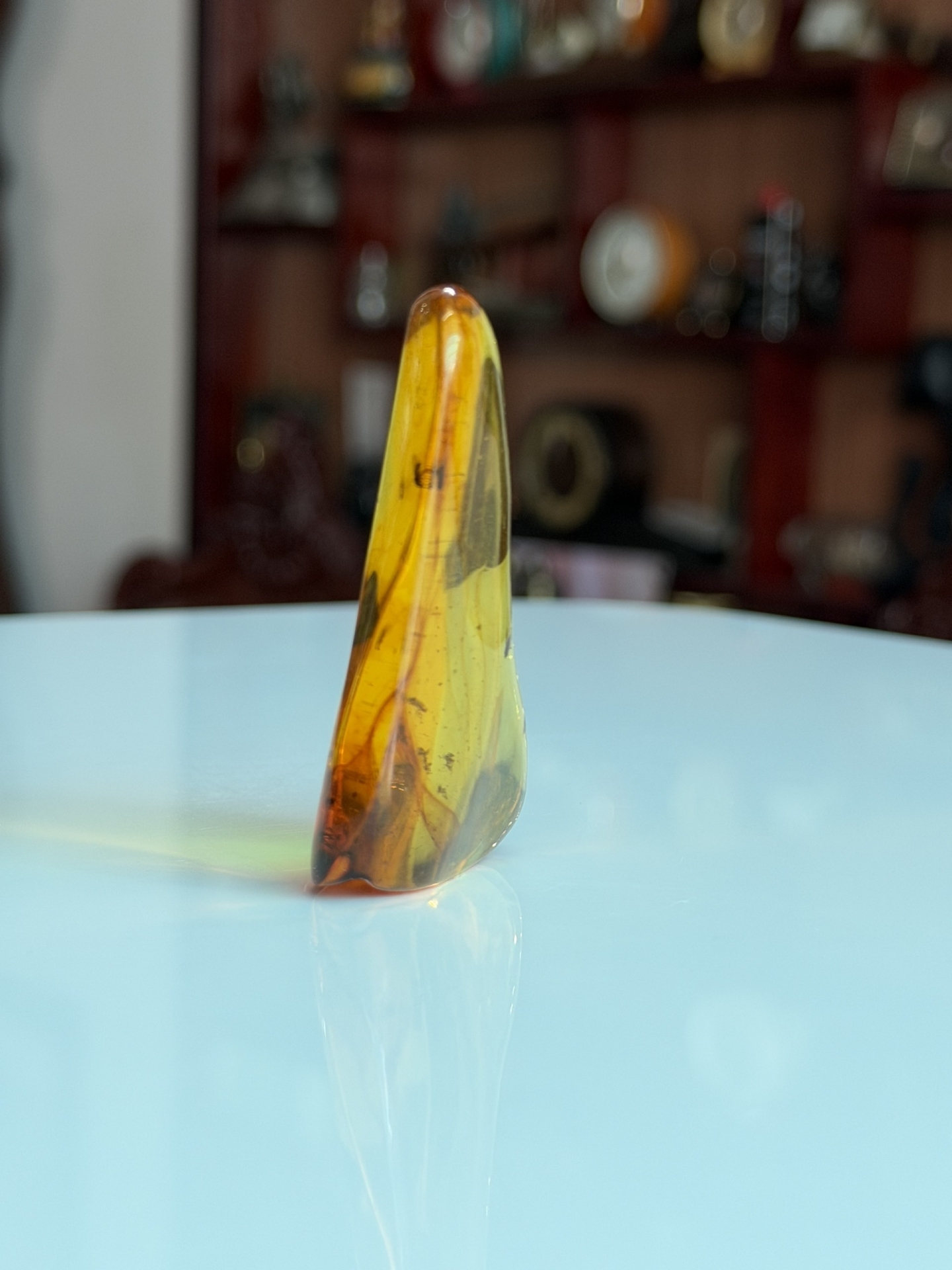 Viên Đá Hổ Phách Baltic Vàng Mật Ong Nguyên Khối Ngậm Côn Trùng Kích Thước Lớn: Tuyệt Tác Trầm Tích Triệu Năm MHP030426-01