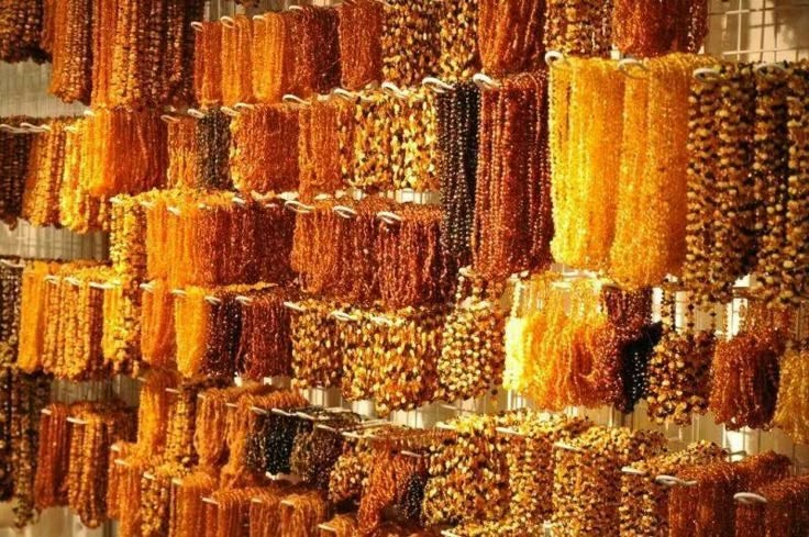 hổ phách ba lan thuộc hổ phách baltic