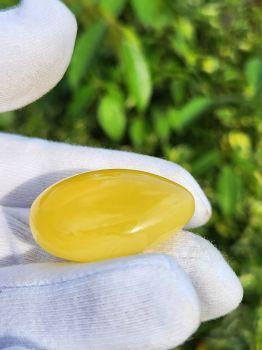 Phương thức thanh toán