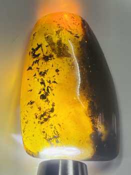 Đá Hổ Phách nguyên khối ngậm côn trùng và tầm tích tuyệt đẹp 291225