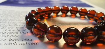 Vòng hổ phách Nga Baltic VHP211020-02 13,3g 11ly size 17