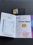 Hổ phách với côn trùng cổ đại to khổng lồ, tự nhiên 100% 12072122