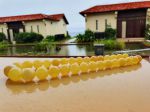 Vòng Hổ phách đeo cổ vàng bơ tự nhiên 100%