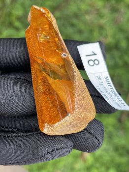 Mặt hổ phách thô MHPT250322-18