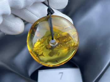 Đồng điếu hổ phách Nga ngậm côn trùng kích thước lớn MHP010422-07