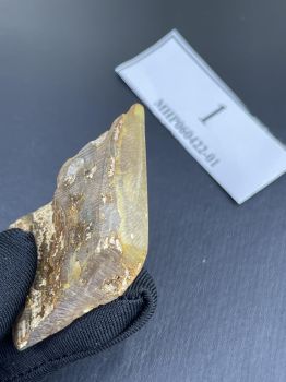 Mặt dây chuyền Hổ Phách Nga Baltic nguyên khối vàng cam trong suốt – Trang sức phong thủy tuyệt đẹp cho cả nam và nữ MHP060422-01