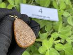 Mặt đá Hổ Phách Baltic thô nguyên khối MHP060422-04