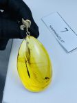 Mặt dây chuyền hổ phách MHP060422-07 có côn trùng
