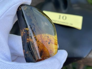 Đá Hổ Phách Nga Ngậm Côn Trùng – Tuyệt Tác Triệu Năm Từ Thiên Nhiên MHPT210522-10