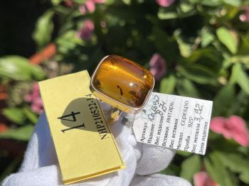 Nhẫn hổ phách nam, nữ bọc bạc 925 mạ vàng Khám Phá Nguồn Năng Lượng Tích Cực Trong Vòng Hổ Phách Vàng Mật Ong Baltic Tự Nhiên 100% NHP210522-14