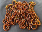 Vòng Hổ phách cho bé - Vòng cổ 06