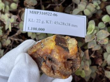 Khám phá ý nghĩa và giá trị của mặt dây chuyền hổ phách tự nhiên nguyên khối Đá hổ phách baltic MHPT310522-06