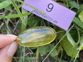 Mặt hổ phách MHP040522-09