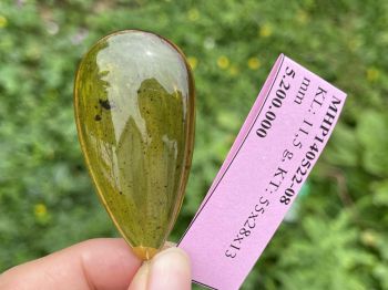 Mặt dây chuyền hổ phách MHP140522-08