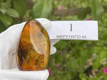 Mặt hổ phách ngậm muỗi cổ đại hàng chục triệu năm MHPT310722-01