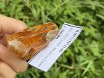 Đá hổ phách vàng ánh cam siêu phẩm MHPT310722-02