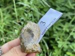 Đá hổ phách thô thiên thạch MHPT310722-03
