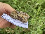Đá hổ phách thô thiên thạch MHPT310722-03