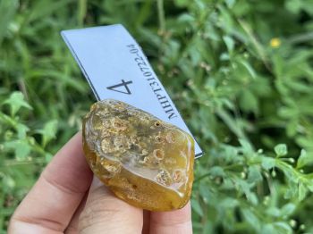 Mặt hổ phách thô MHPT310722-04