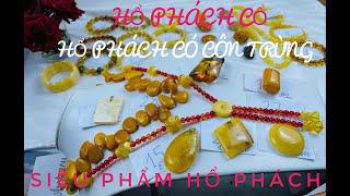 Hổ phách cổ, hổ phách có côn trùng triệu năm, siêu phẩm hổ phách