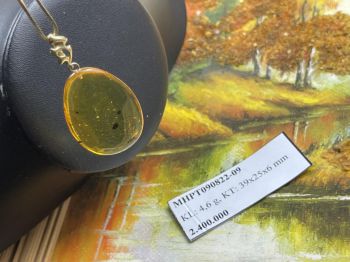 Mặt dây chuyền hổ phách côn trùng MHPT090822-09