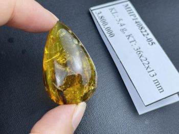 Đá hổ phách chứa nhiều côn trùng kích thước lớn MHP140822-05