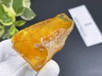 Mặt hổ phách thô MHPT270822-01