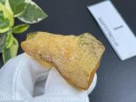Mặt hổ phách thô MHPT270822-01