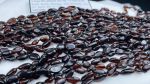 Vòng huyết phách cho bé - Vòng cổ 11 - 30.8
